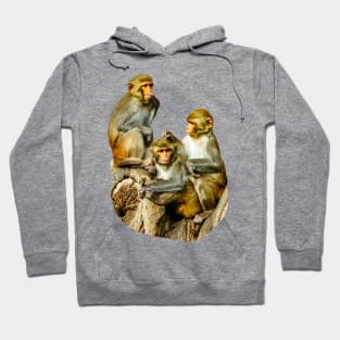 The Three Amigos Hoodie